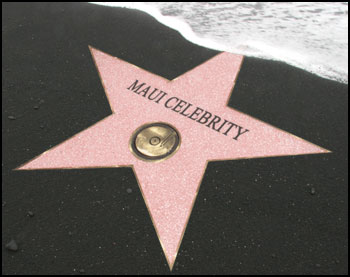Maui celebrity