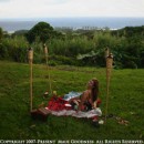 Proposal in Hana Maui