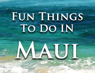 Fun Things To Do In Maui