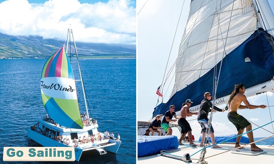 Fun Things To Do In Maui Maui Goodness