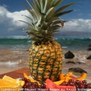 Maui pineapple