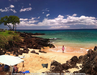 maui stories