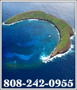 molokini