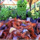 Ono Farms