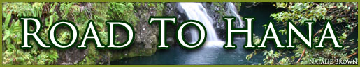 Road to Hana
