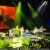 the shins