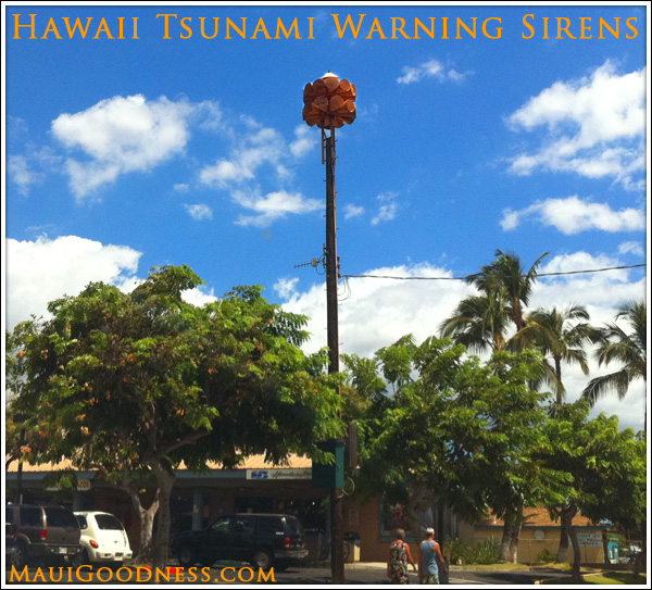 Maui Tsunami