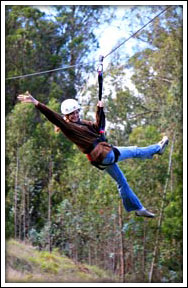 Maui Zip line