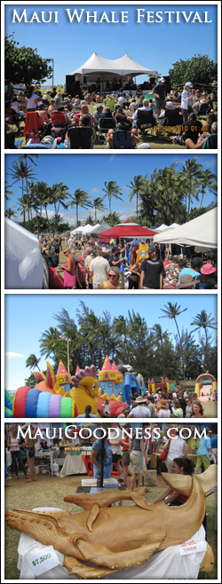 maui whale festival