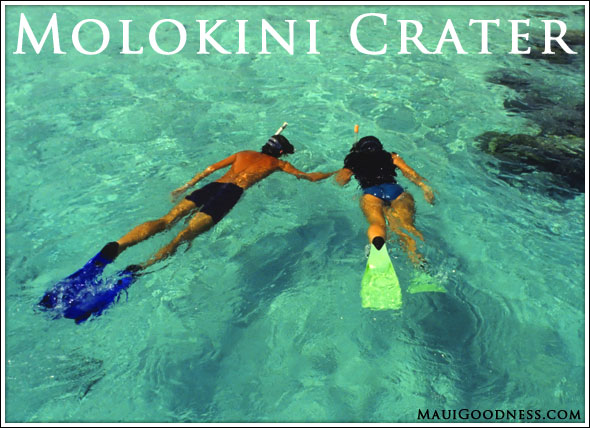 Molokini Snorkeling