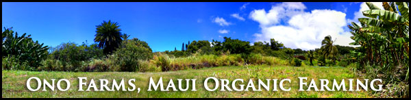 Ono Farms Maui
