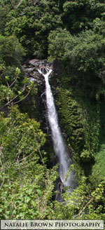 Road to Hana