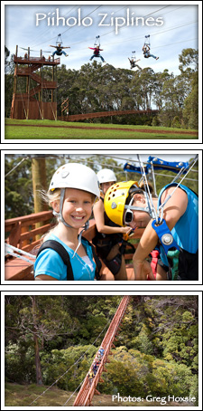 Zipline Maui