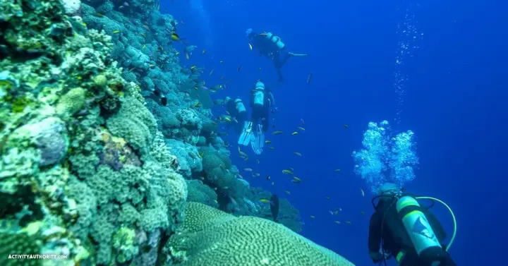 Scuba divers exploring a colorful coral reef in clear blue water off West Maui