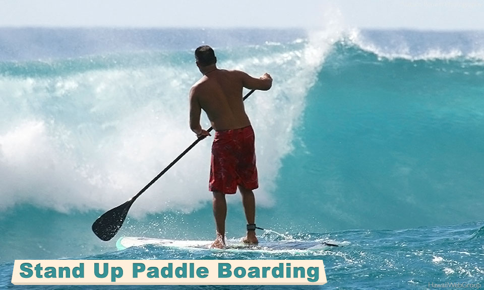 Stand Up Paddle Boarding