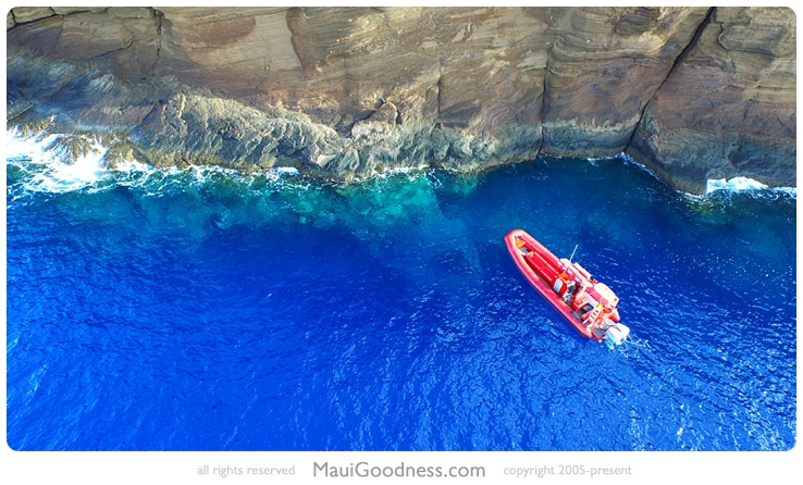 snorkel back wall molokini crater