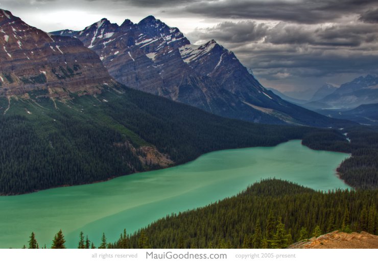 Aerial view of Peyto Lake, Banff National Park, Canada