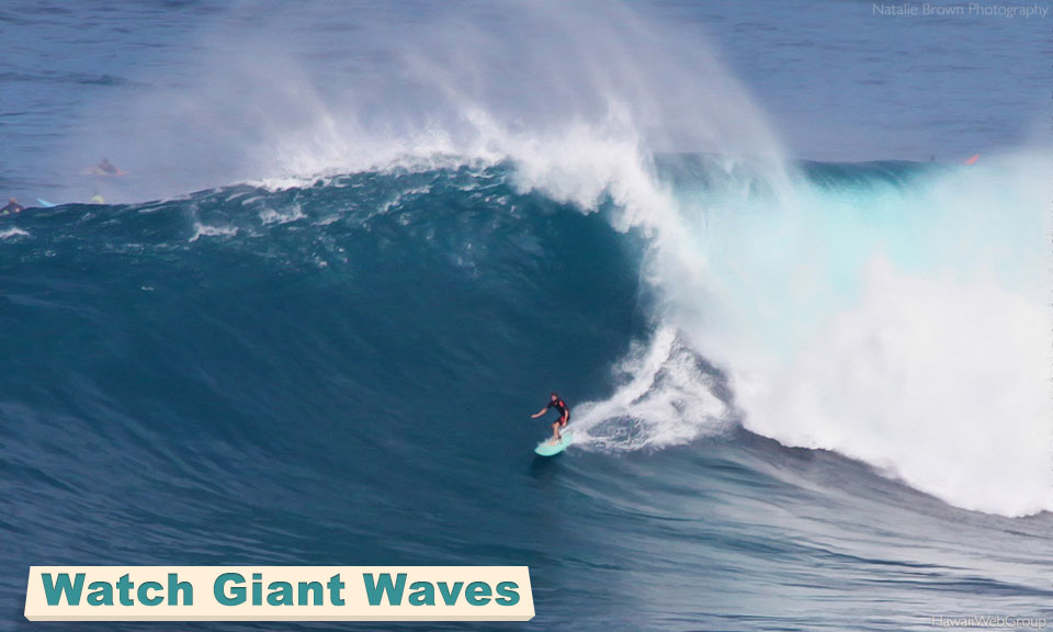 Watch Giant Waves