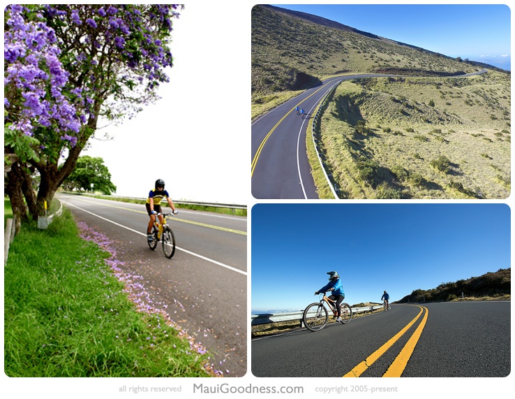 maui haleakala bike tours