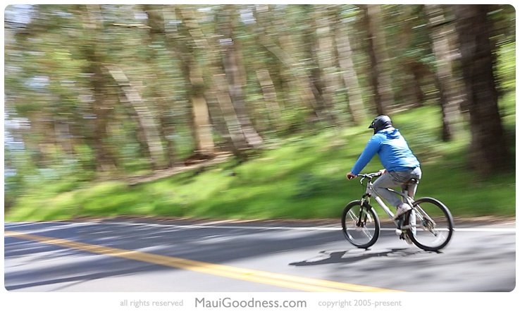 guided bike tours haleakala