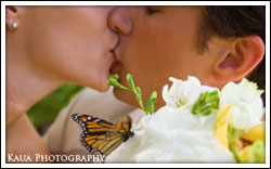 butterfly release