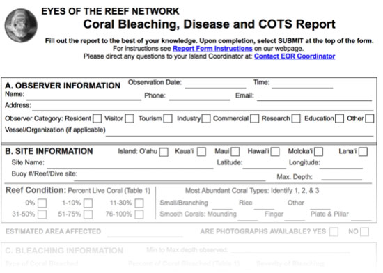 coral bleaching report