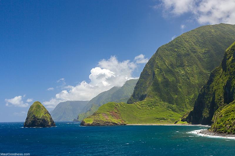 Father Damien Molokai Coastal View