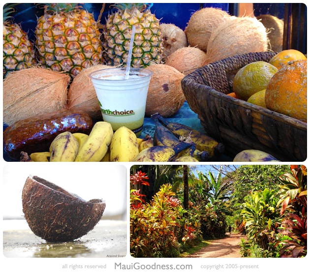 fruit stands maui