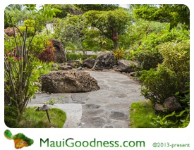 luxury hotels maui