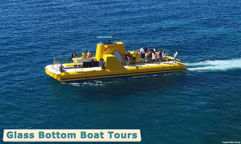 glass bottom boat tours
