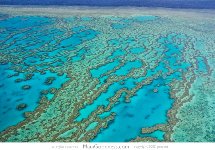 Great Barrier Reef