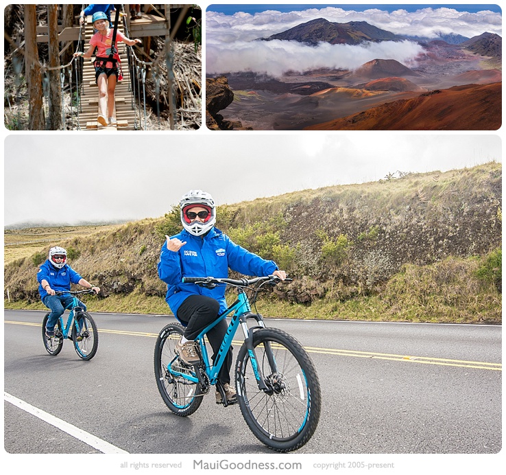 bike tours haleakala