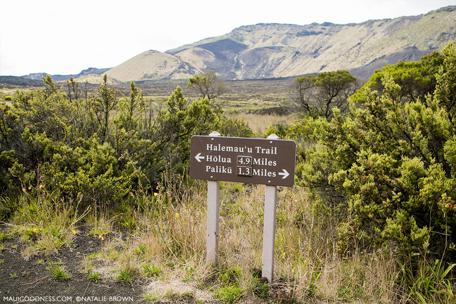 Halemau'u Trail on Haleakala