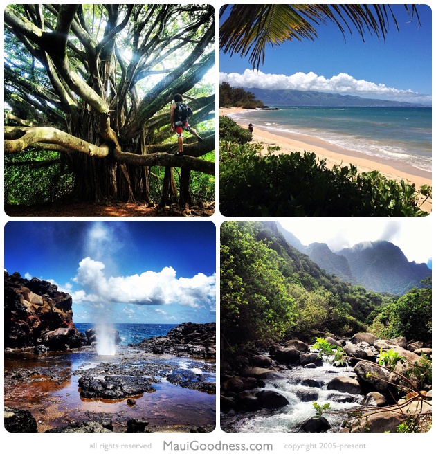 maui hawaii landscapes