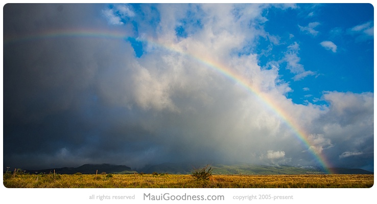 maui ziplining tours