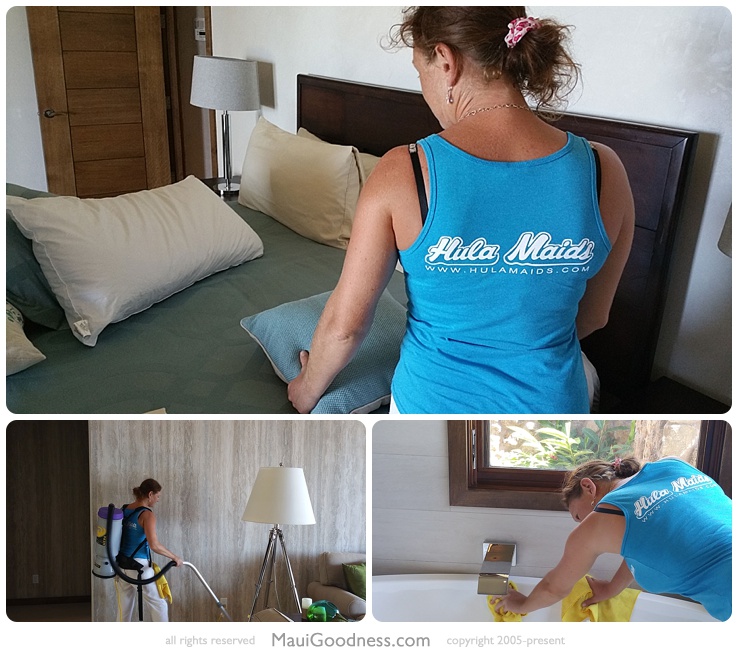 cleaning services maui