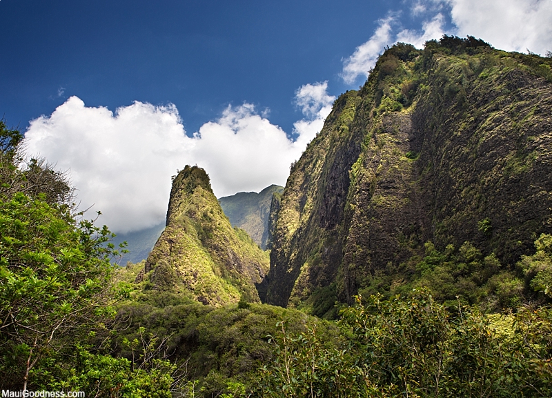 Kahului Wailuku Activities Iao Valley