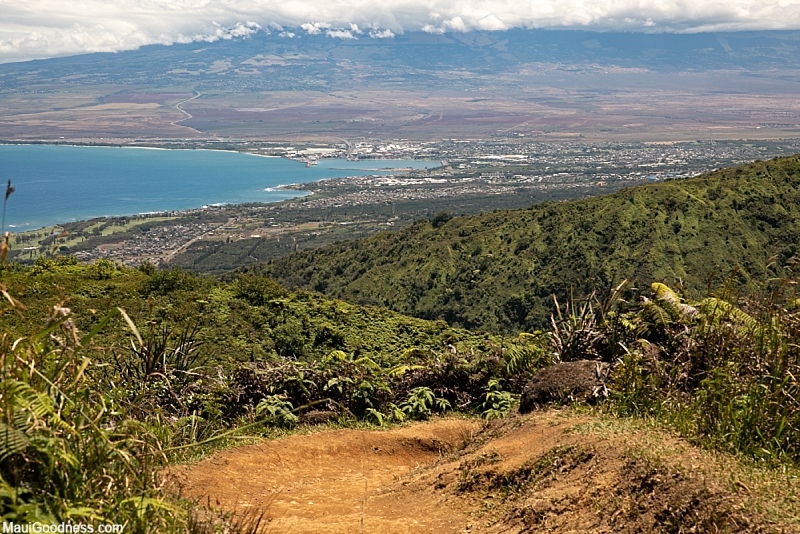 Kahului Wailuku Activities Waiheʻe Ridge