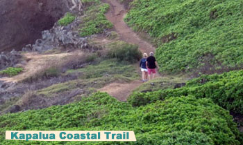 kapalua trail