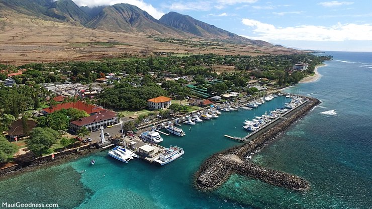 lahaina harbor