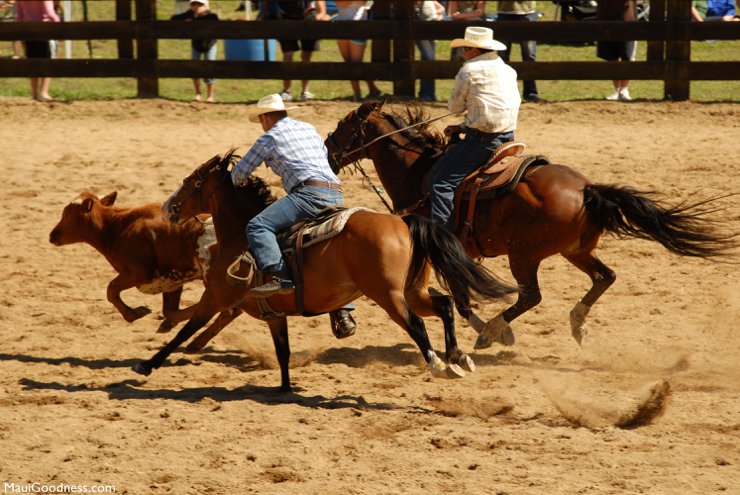 Makawao Rodeo