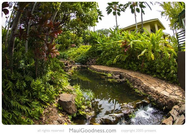 stream hotel wailea