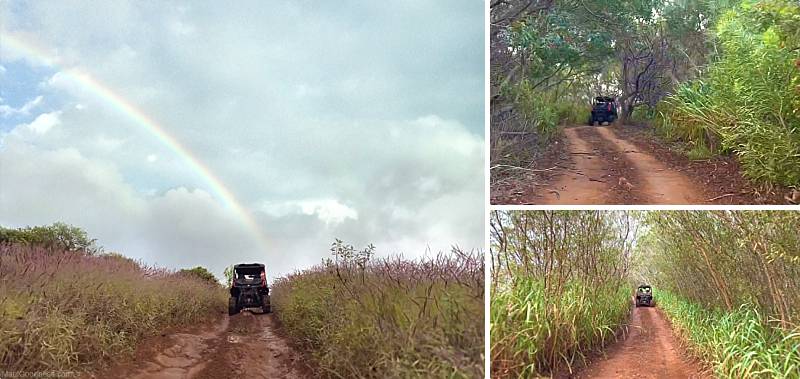 Maui Activities ATV Off Road