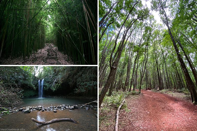 Maui Activities Hiking