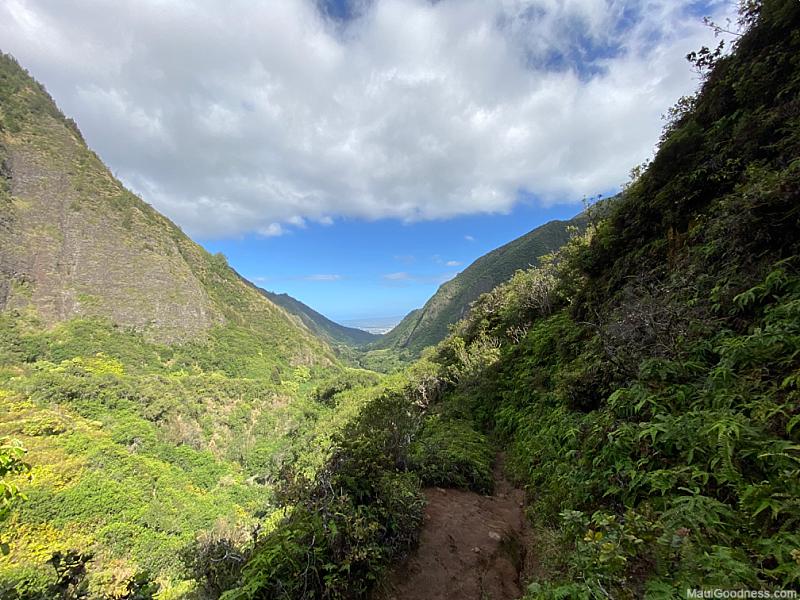 Maui Activities Iao Valley