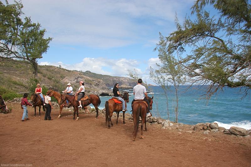 Maui Activities Horseback Riding