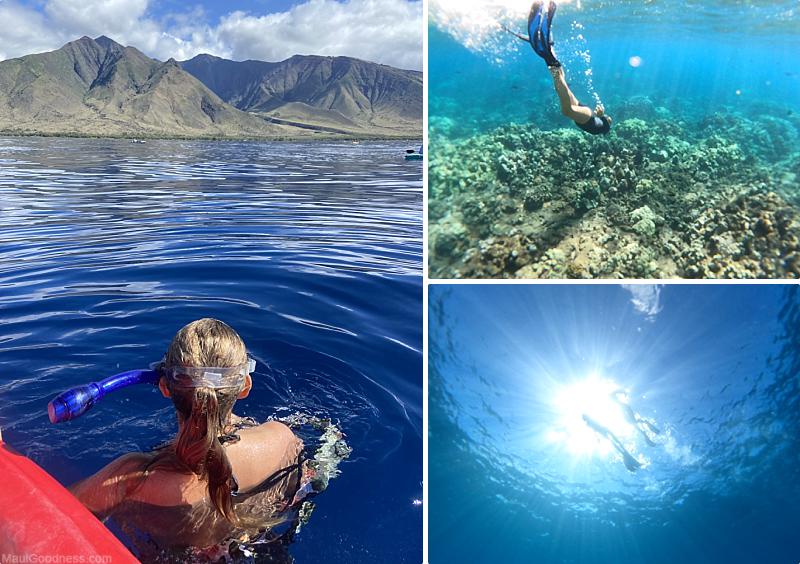 Maui Activities Snorkeling