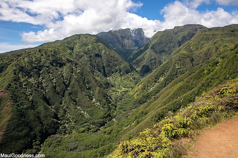 Maui On A Budget Hiking Trail