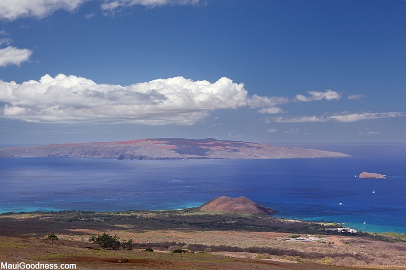 Maui On A Budget Ulupalakua