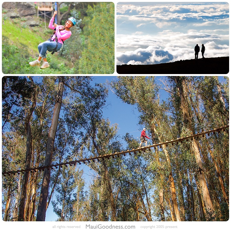 haleakala zipline tours